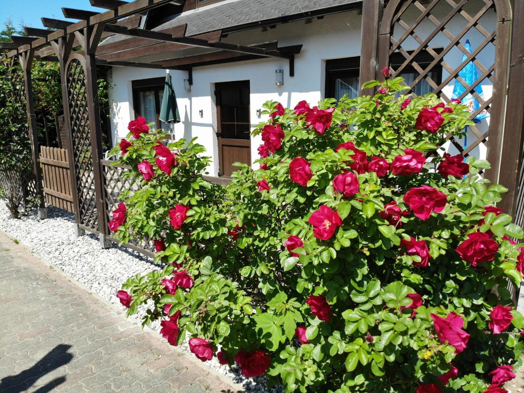 Ferienhaus Kress Rechts Sellin  Dış mekan fotoğraf